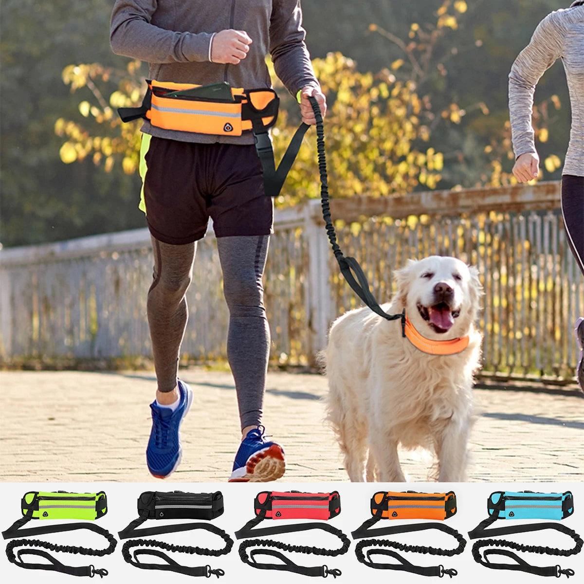 Hands Free Dog Leash – Reflective Running & Walking Belt