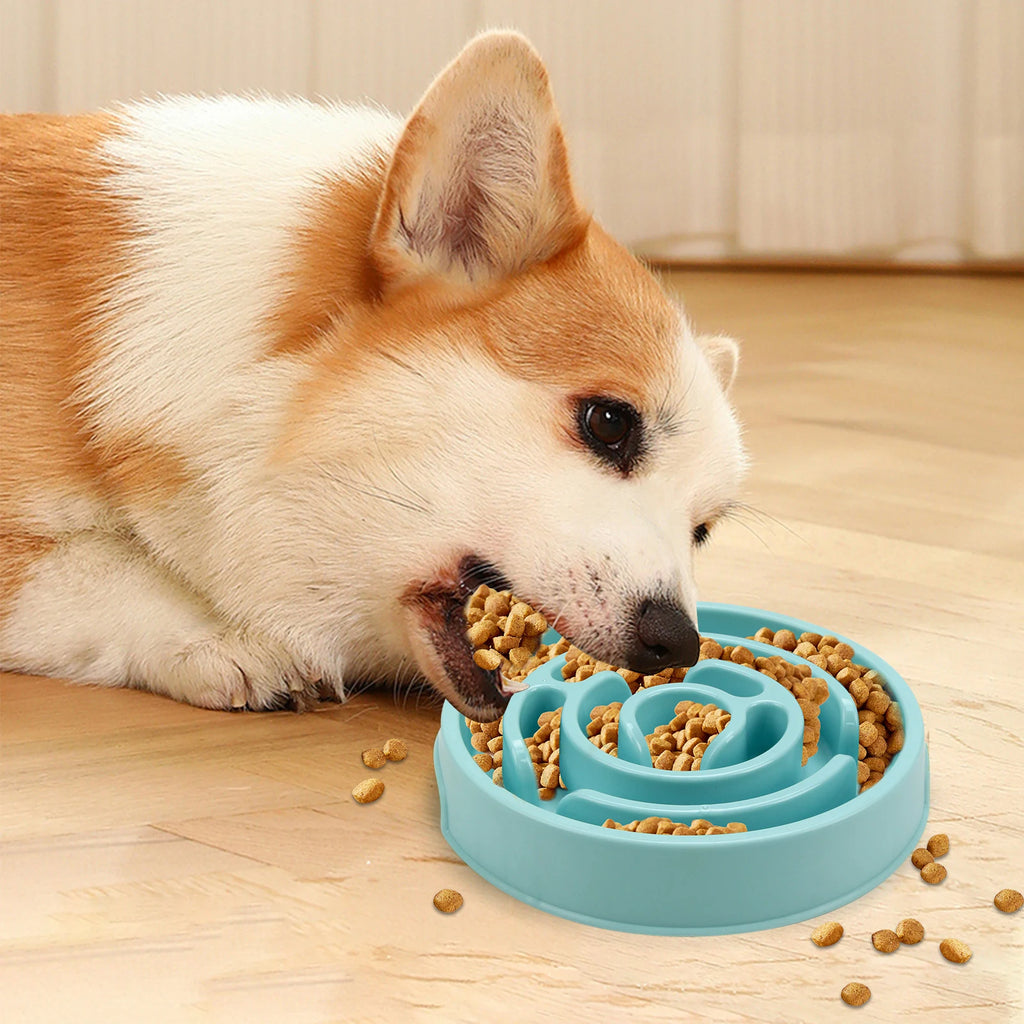 Pet Slow Feeder Bowl – Non-Slip Anti-Gulping Feeding Bowl for Dogs and Cats