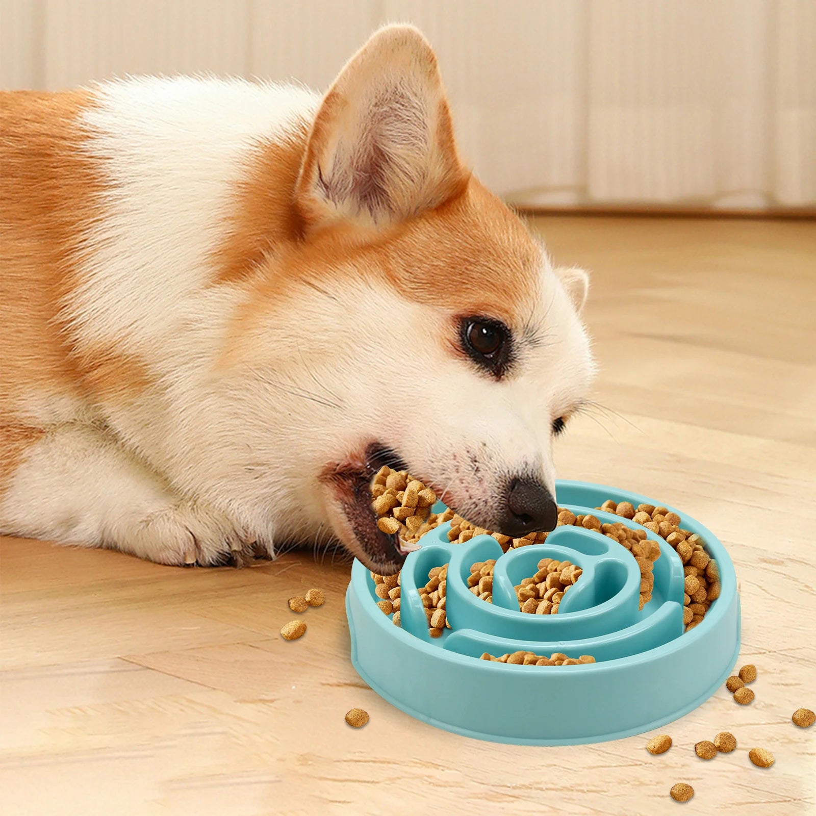 Pet Slow Feeder Bowl – Non-Slip Anti-Gulping Feeding Bowl for Dogs and Cats